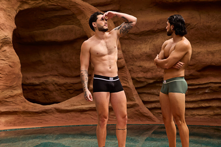 Everyone loves men's thong underwear - Two men in black and olive swim briefs by a rocky pool