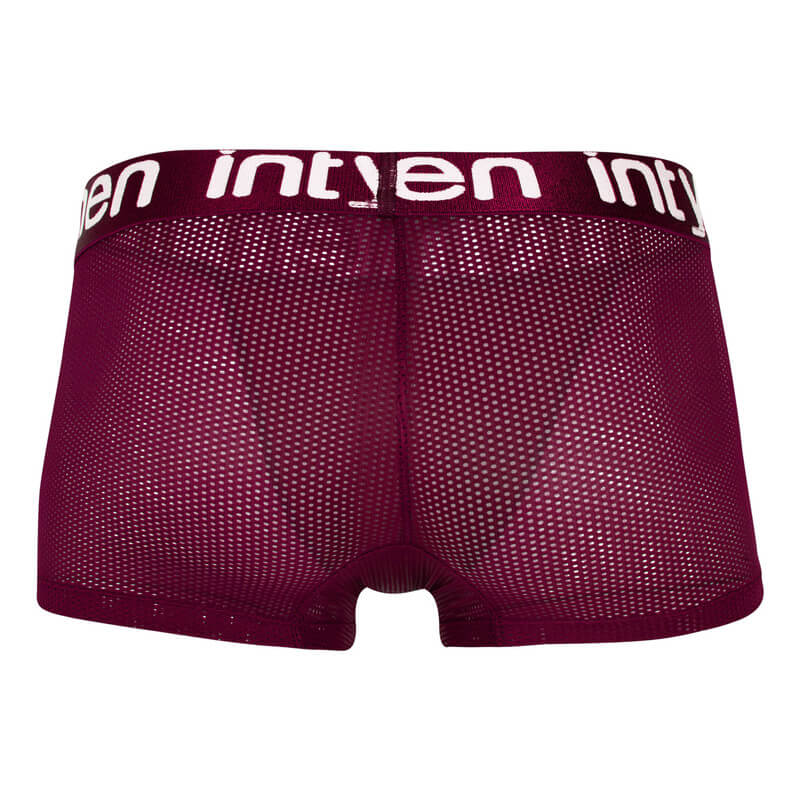 ING108 Boxer trunk men sultan