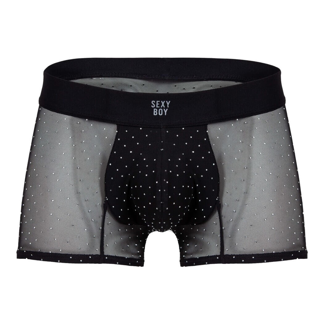 SLG002 Silver Sky Boxer