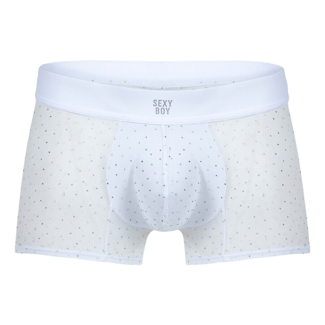 SLG002 Silver Sky Boxer